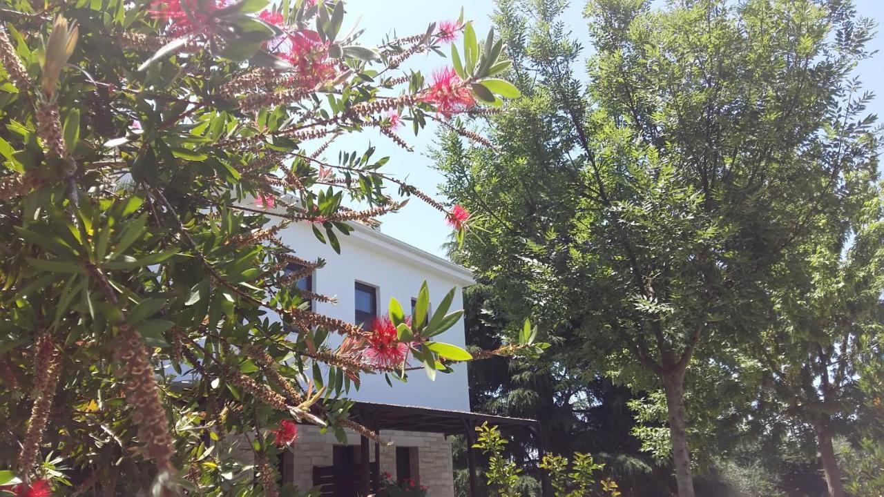 Sivota Apartments Athina ภายนอก รูปภาพ